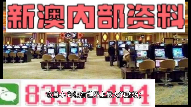 2024新澳门正版免费|精选准确资料解释落实,揭秘新澳门正版免费资料，探索准确资料解释与落实之路