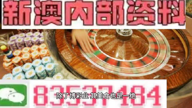 新澳正版资料与内部资料|精选准确资料解释落实,新澳正版资料与内部资料，精选准确资料的解释与落实
